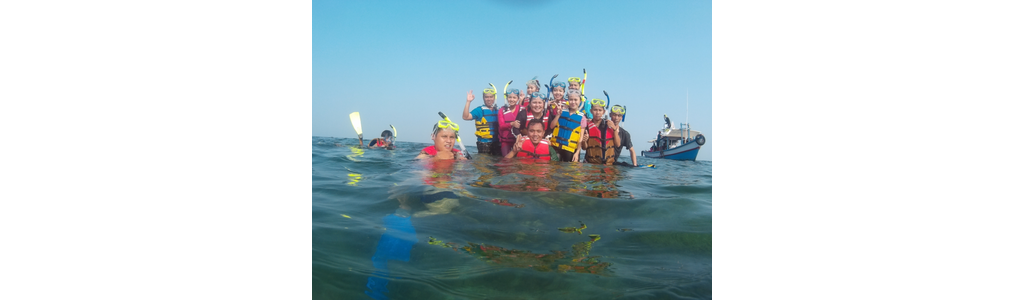 Melihat Keindahan Bawah Laut Pahawang